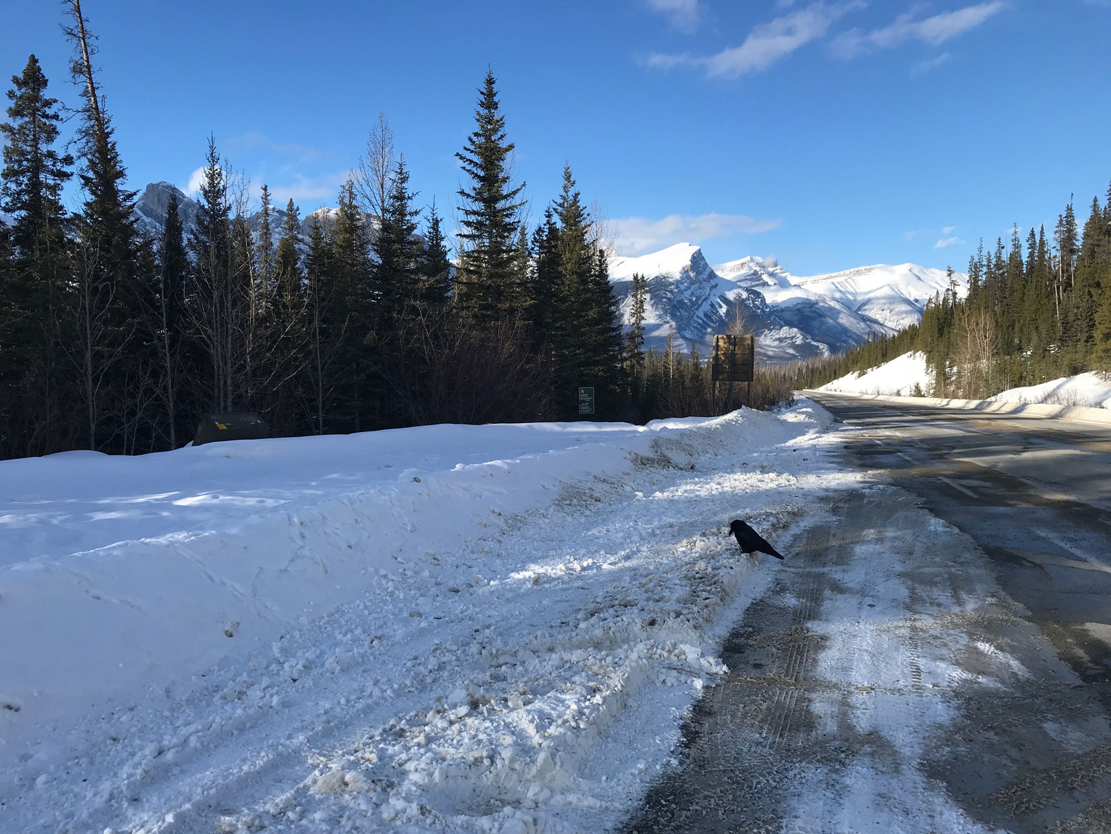 Asphalt paving job in Banff National Park near Mistaya Canyon